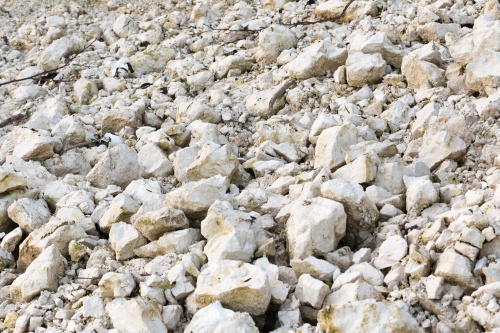 Erosion an der Kreidekueste-11
