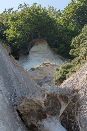 Erosion an der Kreidekueste-15