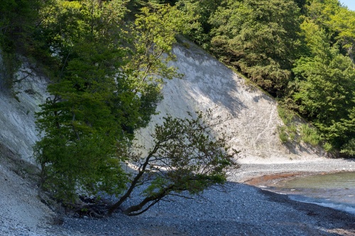 Erosion an der Kreidekueste-5