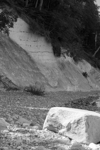 Erosion an der Kreidekueste-6