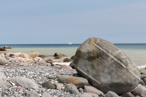 Findling an der Kreidekueste-7