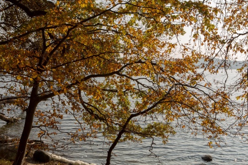 Inselblick