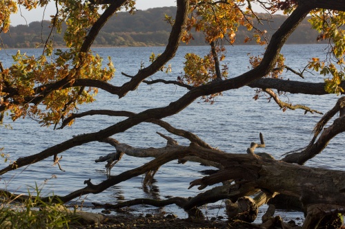 Vilm-Blick