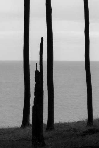 Durchblicke zur Ostsee-6