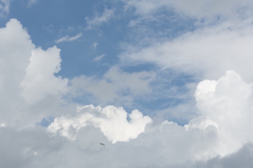 Woken ueber Ruegen-2