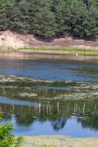 Naturschutzgebiet Gehspitzweiher-5