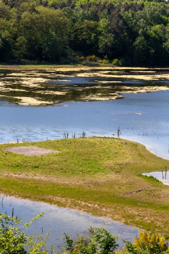 Naturschutzgebiet Gehspitzweiher