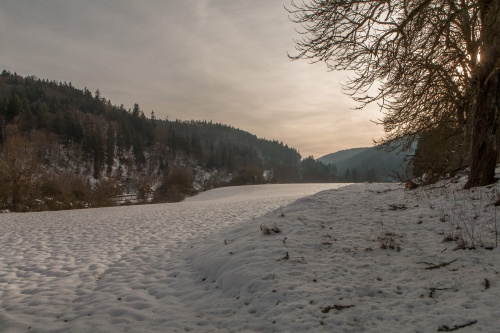 Gegenlicht