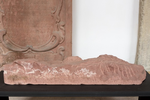 Projekt 2. Stahlgekaemmt-3