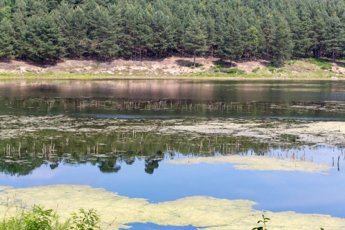 Naturschutzgebiet Gehspitzweiher-6