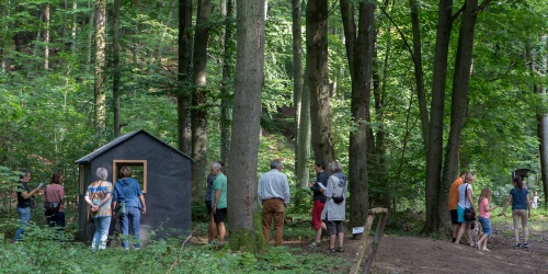 Bob Budd (Grossbritannien), Kitchen Biotope