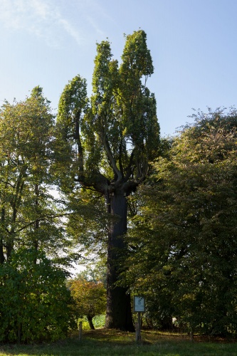 Harreshausen-2