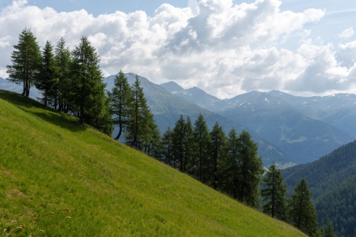 Vergrößern Laerchen-Landschaft