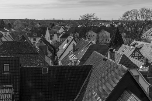 Dächer in Zwingenberg