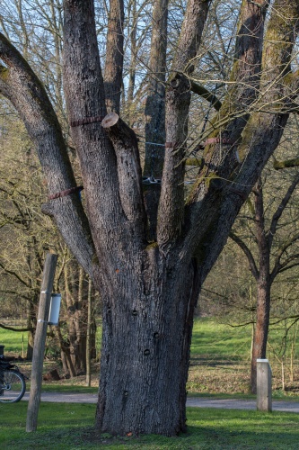 Vergrößern Speierling Blick Richtung Sulzbach