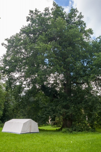 Maechtige Eiche im Schlosspark Gladow 02